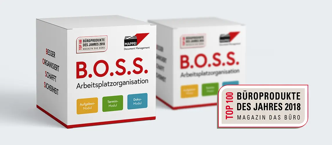 B.O.S.S Paket Grafische 3D Darstellung eines B.O.S.S Paket