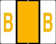 Buchstabenetikett (gross) "B", Farbe hellorange, 50/Bogen