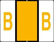 Buchstabenetikett (gross) "B", Farbe hellorange, 50/Bogen