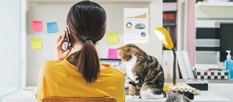 Eine Frau mit dunklen Haaren telefoniert in ihrem Homeoffice am Schreibtisch, während eine Katzen in der Nähe ist, was die Herausforderungen der Organisation im privaten Arbeitsbereich zeigt.
