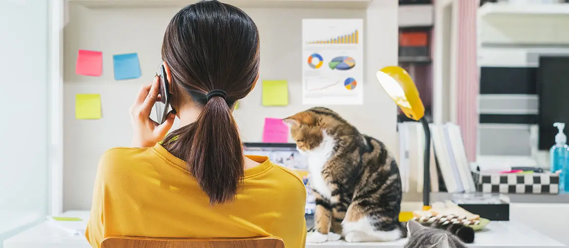Private Anwendungen Mappei Eine Frau mit dunklen Haaren telefoniert in ihrem Homeoffice am Schreibtisch, während eine Katzen in der Nähe ist, was die Herausforderungen der Organisation im privaten Arbeitsbereich zeigt.